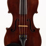 JTL "Medio-Fino", c. 1900