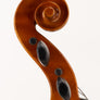 J.I. Strings, Model 55